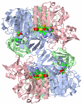 Image Biological Unit 1