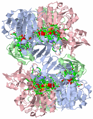 Image Biol. Unit 1 - sites