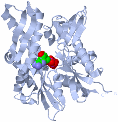 Image Biological Unit 1