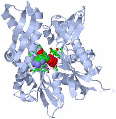 Image Biol. Unit 1 - sites