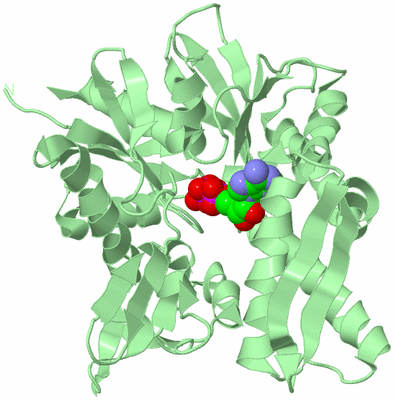 Image Biological Unit 2