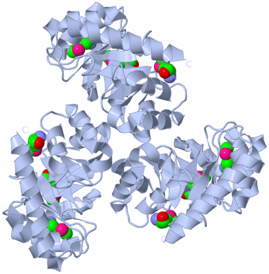 Image Biological Unit 1