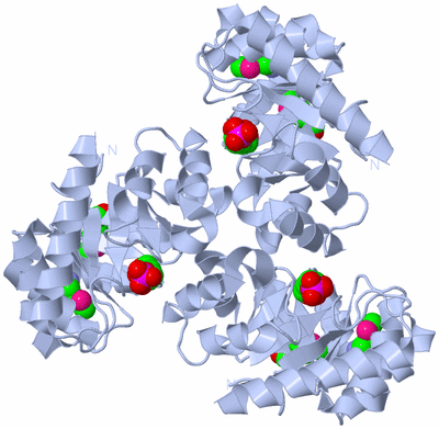 Image Biological Unit 1