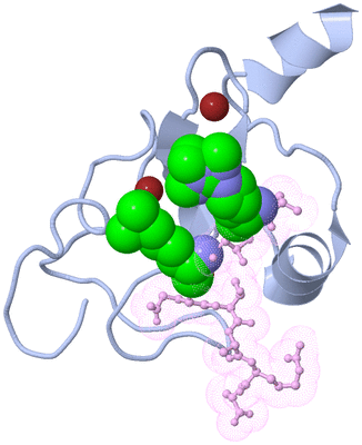 Image Biological Unit 1