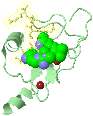 Image Biological Unit 2