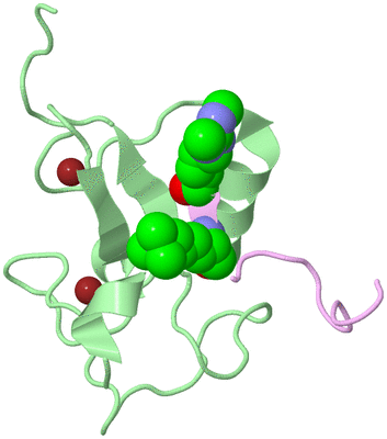 Image Biological Unit 2