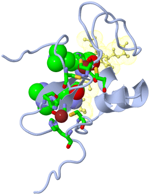 Image Biol. Unit 1 - sites