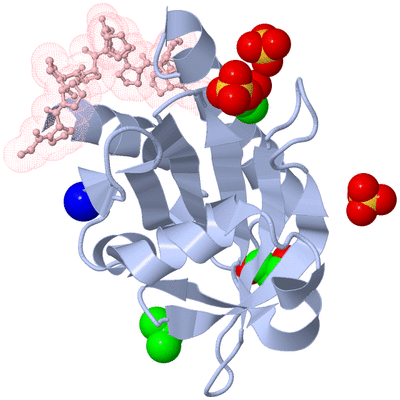 Image Asym./Biol. Unit