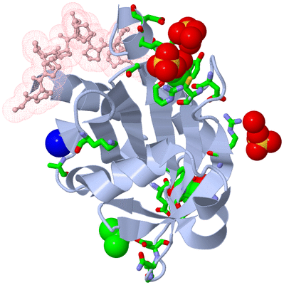 Image Asym./Biol. Unit - sites