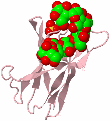 Image Biological Unit 3