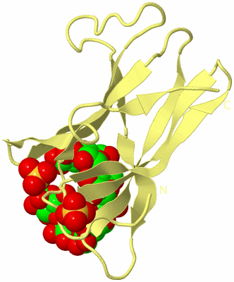 Image Biological Unit 4