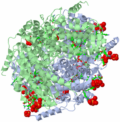 Image Biol. Unit 1 - sites