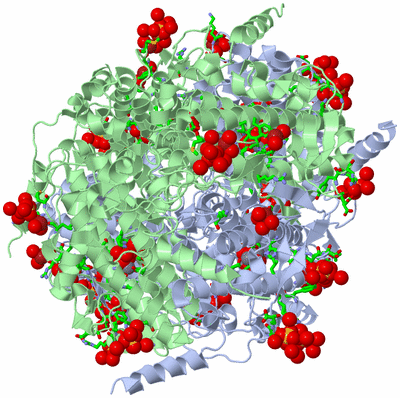 Image Biol. Unit 1 - sites