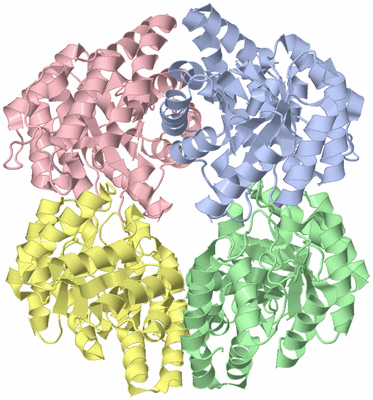 Image Asym./Biol. Unit