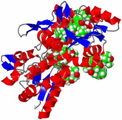 Image NMR Structure - model 1