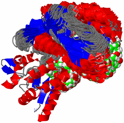 Image NMR Structure - all models