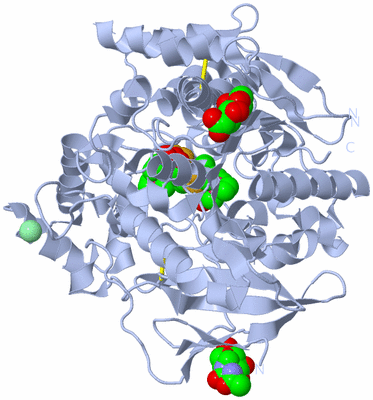 Image Biological Unit 1