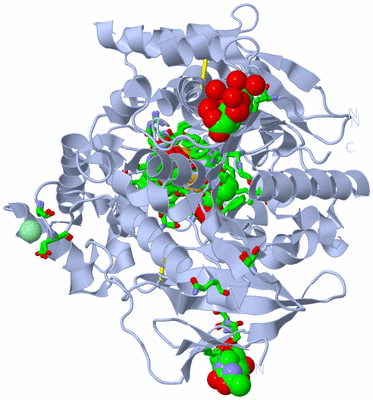 Image Biol. Unit 1 - sites