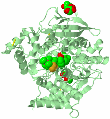 Image Biological Unit 2