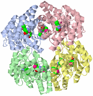 Image Asym./Biol. Unit