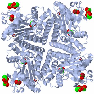 Image Biological Unit 1