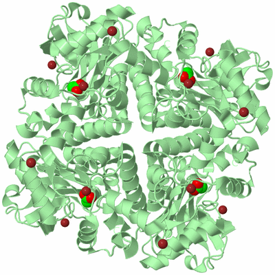 Image Biological Unit 2