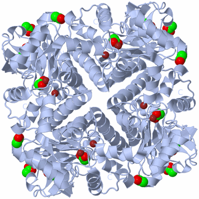 Image Biological Unit 1