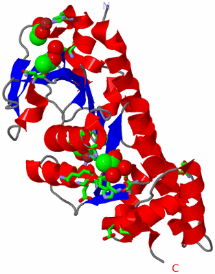 Image Asym. Unit - sites