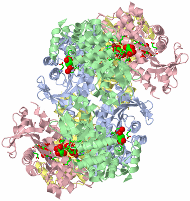 Image Biol. Unit 1 - sites