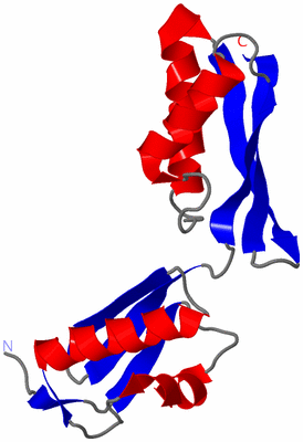 Image NMR Structure - model 1