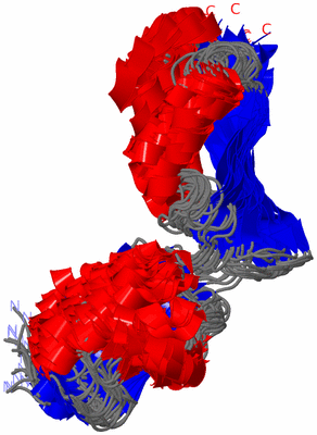 Image NMR Structure - all models