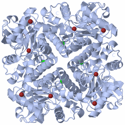 Image Biological Unit 1