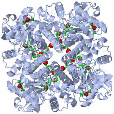 Image Biol. Unit 1 - sites