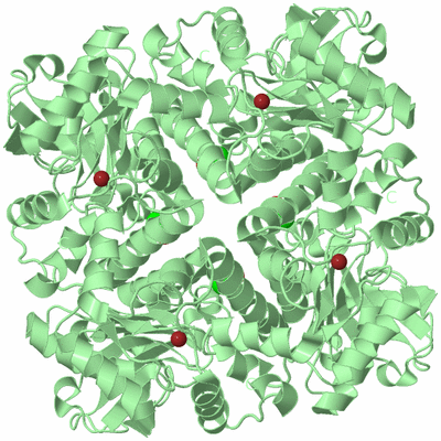 Image Biological Unit 2