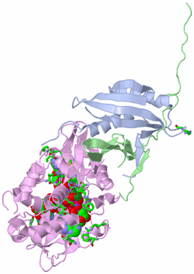 Image Asym./Biol. Unit - sites