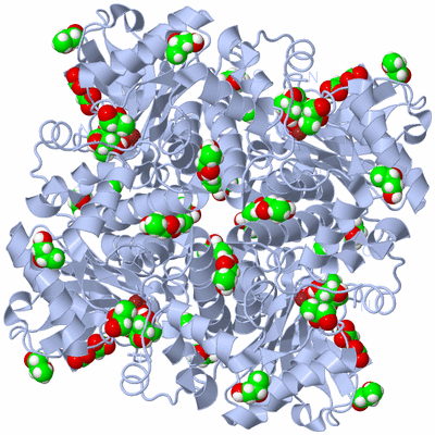 Image Biological Unit 1