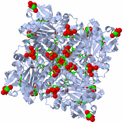 Image Biol. Unit 1 - sites