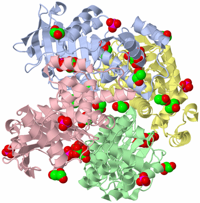 Image Asym./Biol. Unit