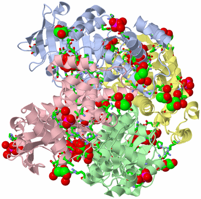 Image Asym./Biol. Unit - sites