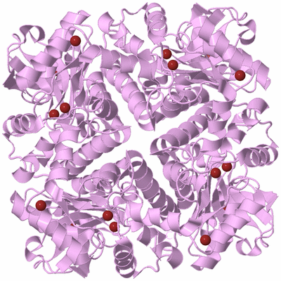 Image Biological Unit 2