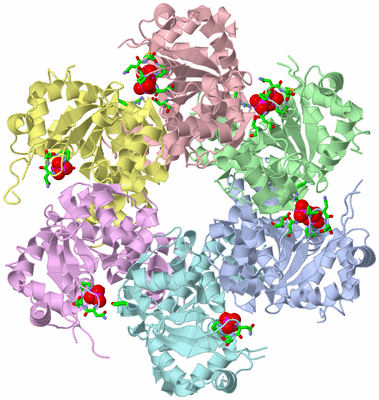 Image Biol. Unit 1 - sites