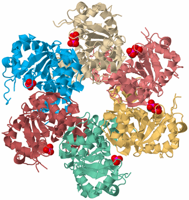 Image Biological Unit 2