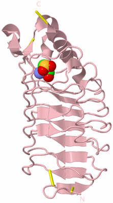 Image Biological Unit 3