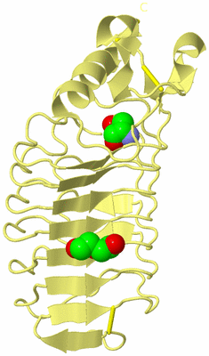 Image Biological Unit 4