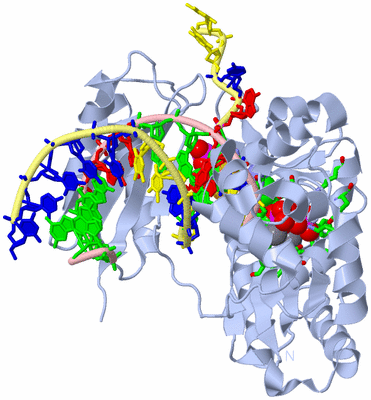 Image Biol. Unit 1 - sites