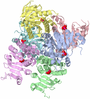 Image Asym./Biol. Unit