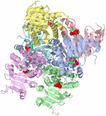 Image Asym./Biol. Unit - sites