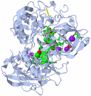 Image Biol. Unit 1 - sites