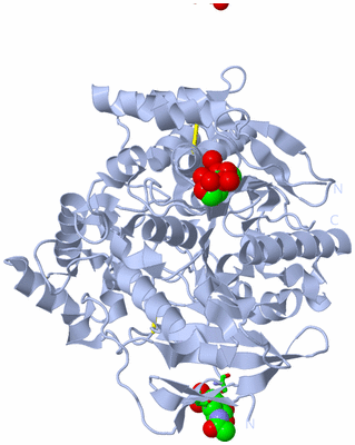 Image Biol. Unit 1 - sites