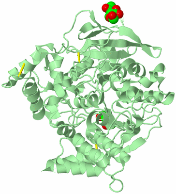 Image Biological Unit 2